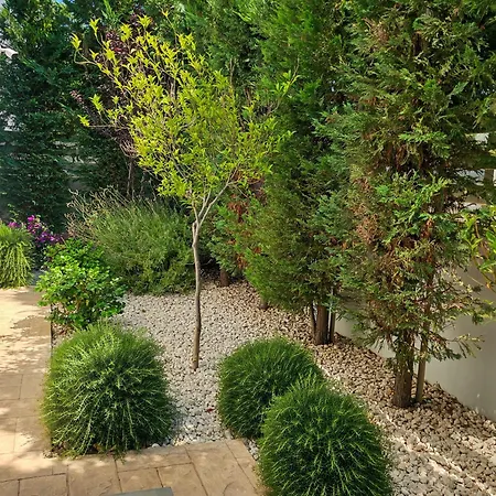 Villa Nissi Azure Ayia Napa